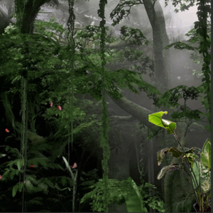 A large indoor space filled with plants and trees, with the Funplant photoshopped into the lower right corner
